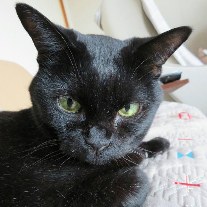 2d4664dd 4a27 4a17 939f 5f005edf0ecf