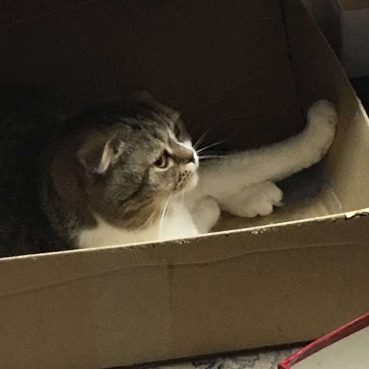 2d469d6f afea 4514 9a30 17106f9e57c3