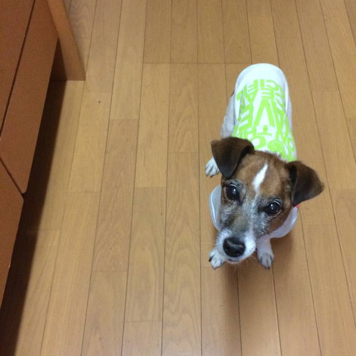 2d470aed 49dc 453e acf9 fabd4aa4359d