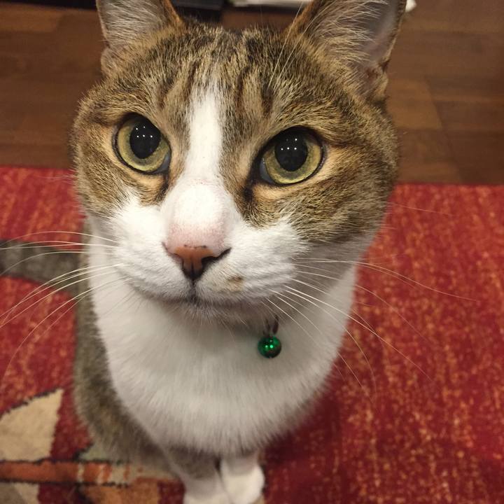 2d474af0 3a43 48a0 8a37 894be2257c79