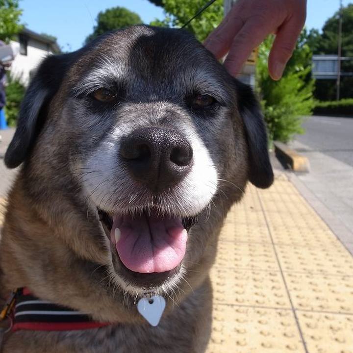 2d4760a0 3bfa 44a5 adf1 257c08bd1f7c