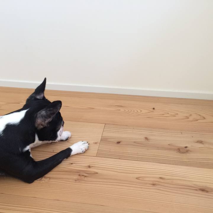 2d482909 f30d 425d 90ef 7f009647437b