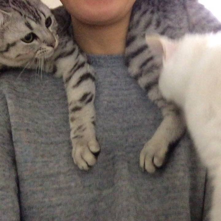 2d488455 4c1c 4fe5 b11f 40dba3dff15e