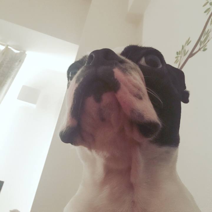 2d491d9e 6450 4005 bd34 f061937811a6