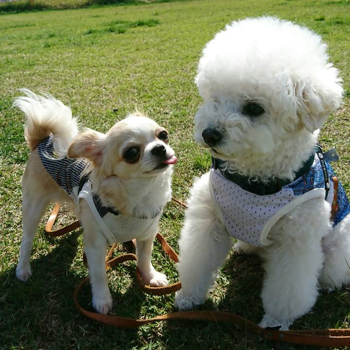 2d49aebd a5b7 4336 a5eb aabdcd5184be