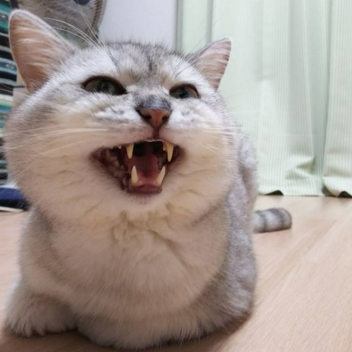 2d49e67e dea9 4540 a196 88c21e57857f