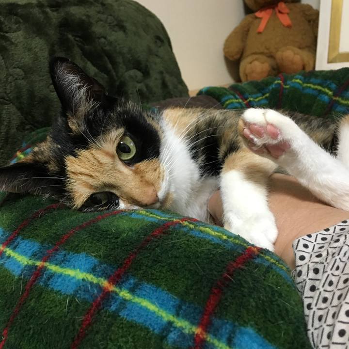 2d4af600 e4e3 4583 b24f da39c7bfe9be