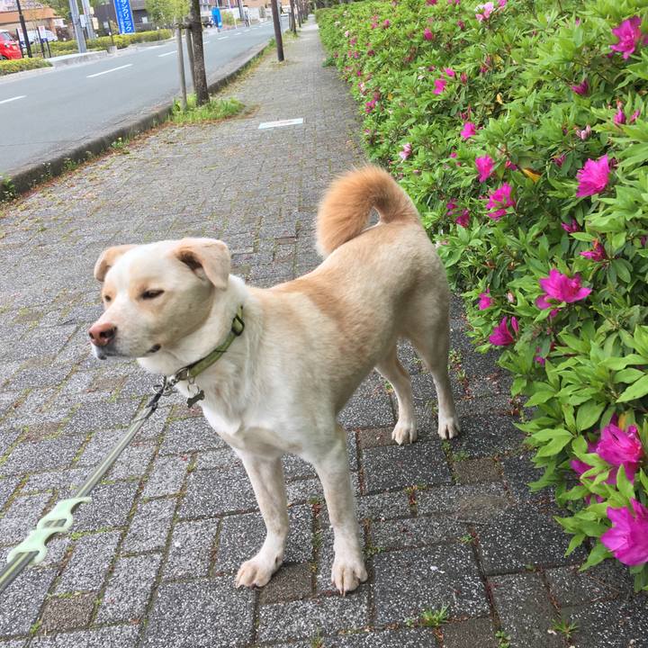 2d4b55c9 d138 47f9 be3e b318d26f940b