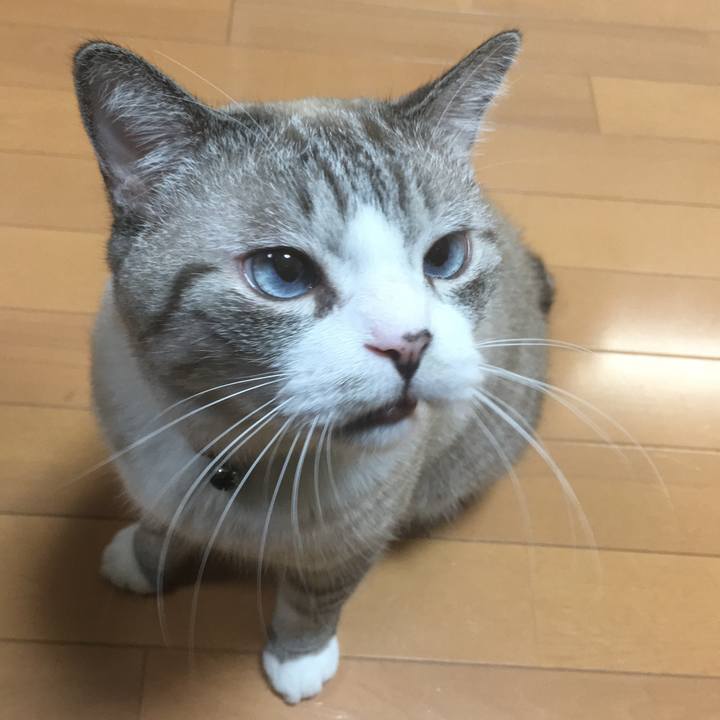 2d4b5c18 abfe 4248 88ca 28828553a86d