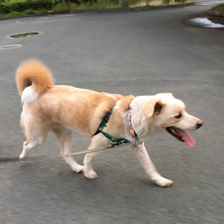 2d4bb0ed f54c 421b a2c6 4f5c0c4728ea