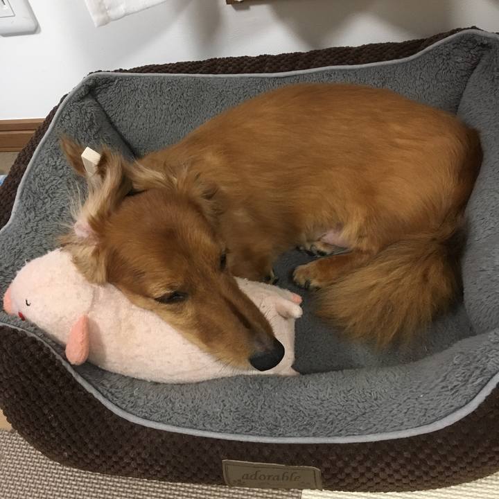 2d4c19e0 24ec 47bc 8c3f e3d9e4d67cf0