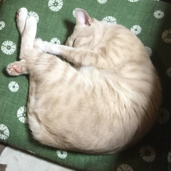 2d4d570f 3e2d 4dcf 8ce5 2fe3ceb8bbcc