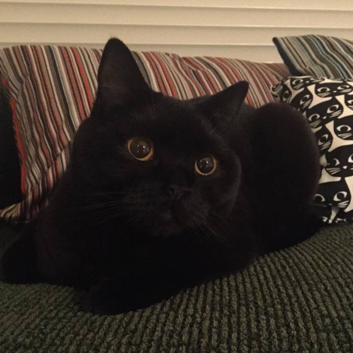 2d4d849a 4980 43b9 aedc d10a97c2318c