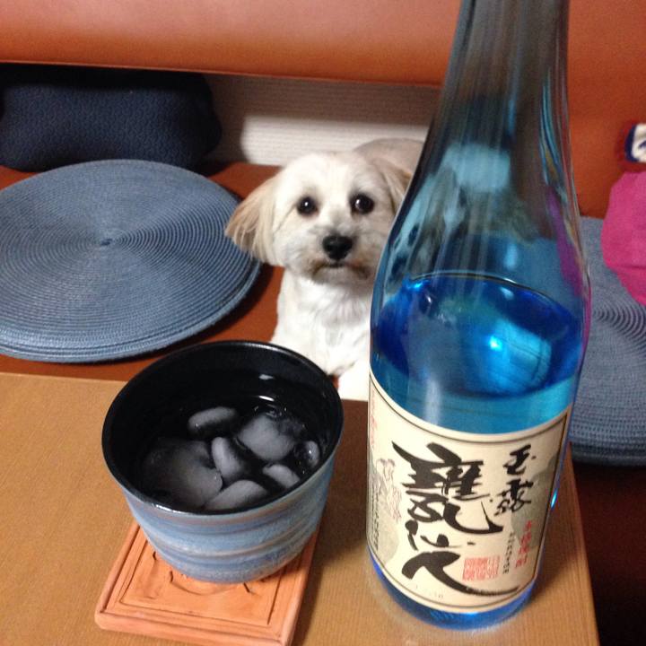 2d4dca8a 00d5 4068 8dae 6f653a7fee6c