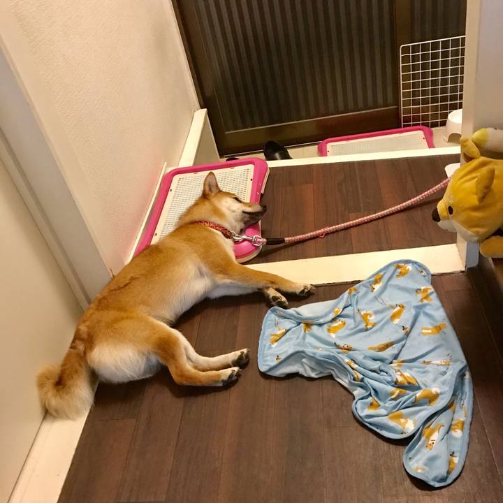 2d4e10ae d566 42ff 8f43 5961832d269b