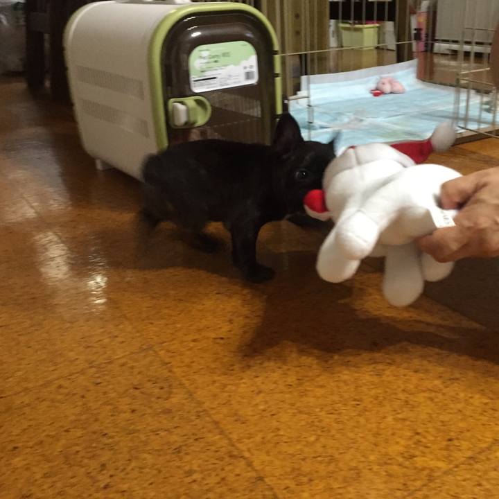 2d4e2700 5c6d 45c0 8581 9c0531987724