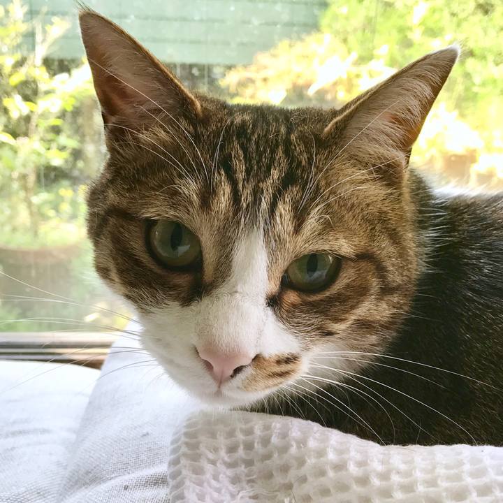 2d4e3042 842d 4268 802e 8b45f06f1967