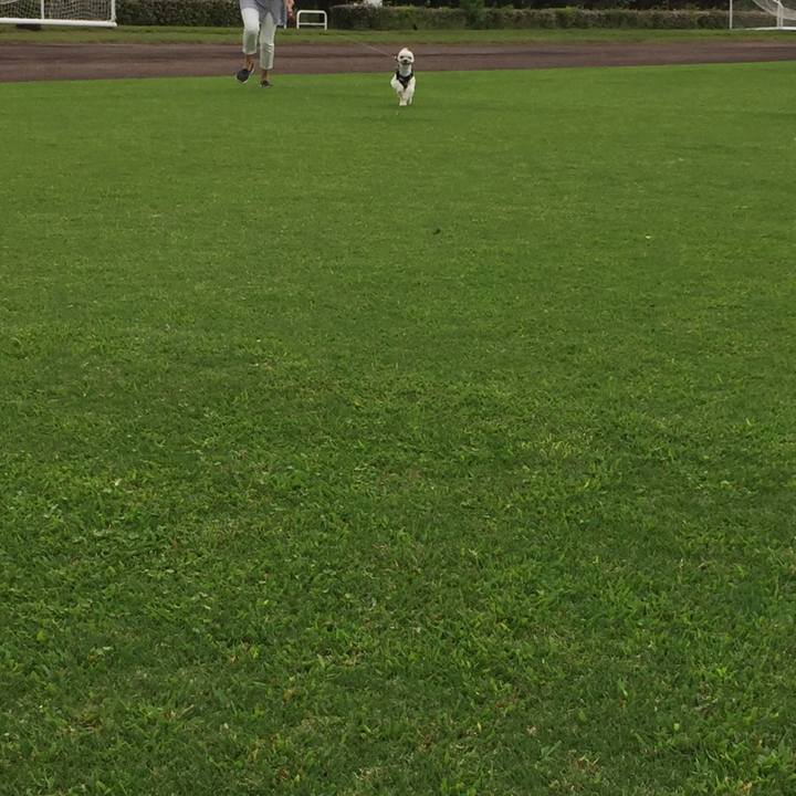 2d4e430e 847f 4703 a152 87d17c5d491f