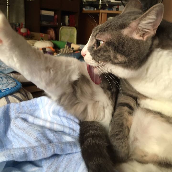 2d4eac26 137e 4501 b186 686d17cd02ea