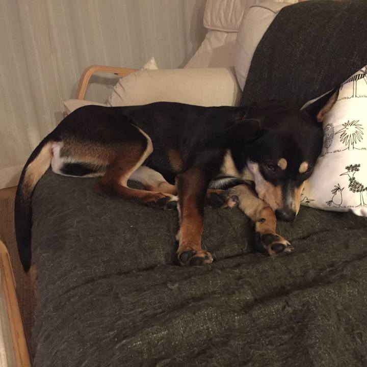 2d4eb89e ed5d 4046 8b4a 7a869dc0fed3