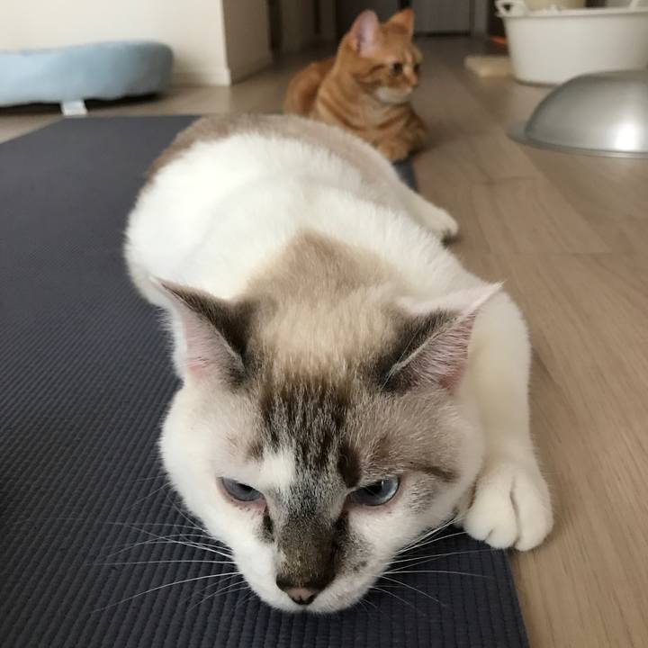 2d4f5448 4331 4434 bc1a b5a7d5df5731