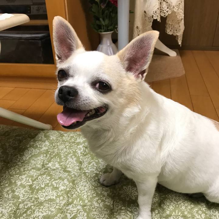 2d4f8a09 c102 49ec ab66 55ba91a7e597