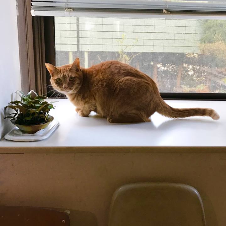 2d51d48b 3adc 486e b1b3 81278547e391