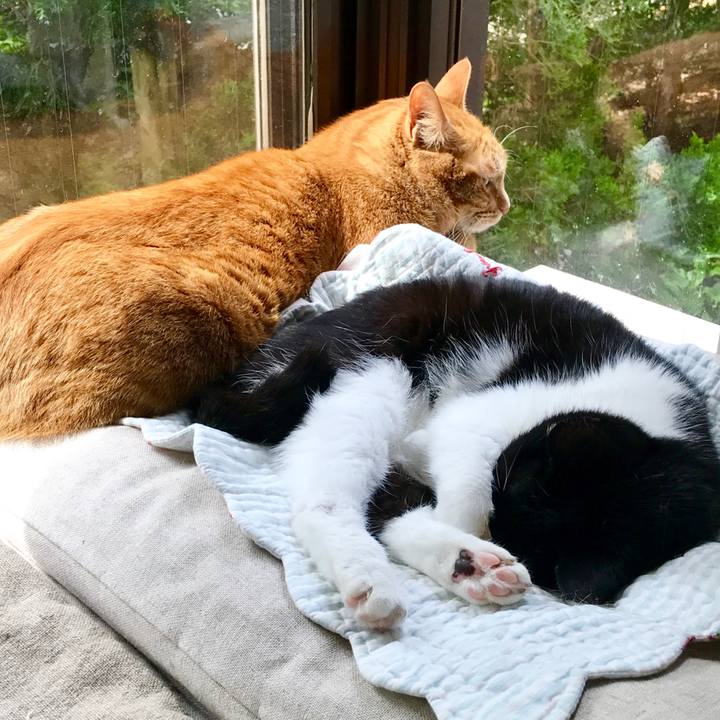 2d520fcd d6c0 4045 a5ee e5d7a750f1ea