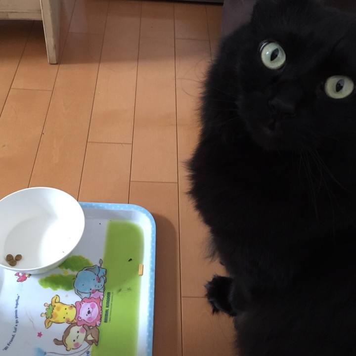 2d526f49 9e2f 4001 9b4f db0aa1f014d0