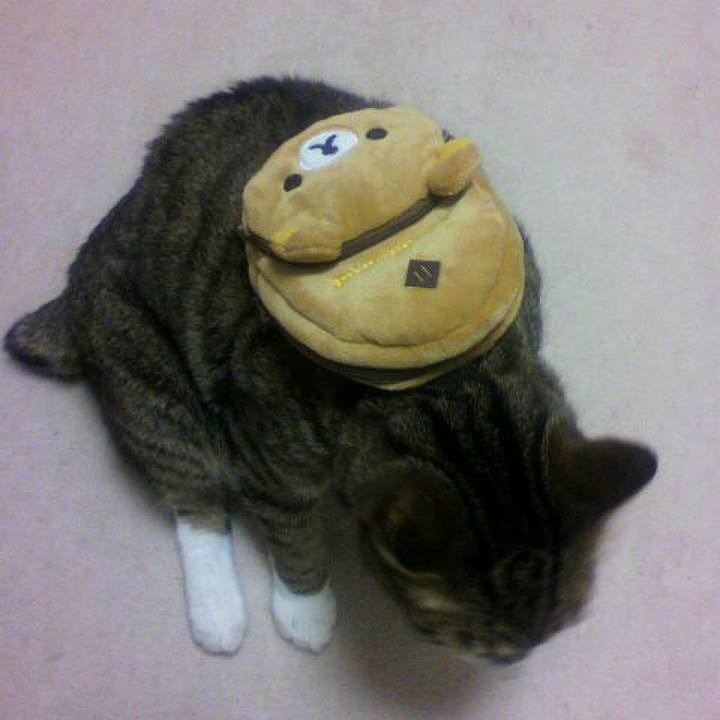 2d52f222 7a38 4f6c 9df6 433c2b7ec714