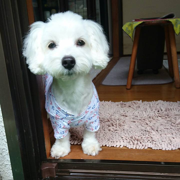 2d52fb8c 6113 4e4e 888d ff815103c6f6