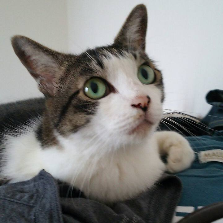 2d530876 61a9 4d43 b72c efffe35f226b