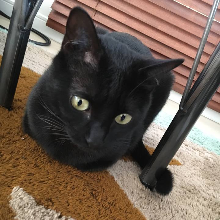 2d534908 5055 4dd7 b146 8848cec10f82