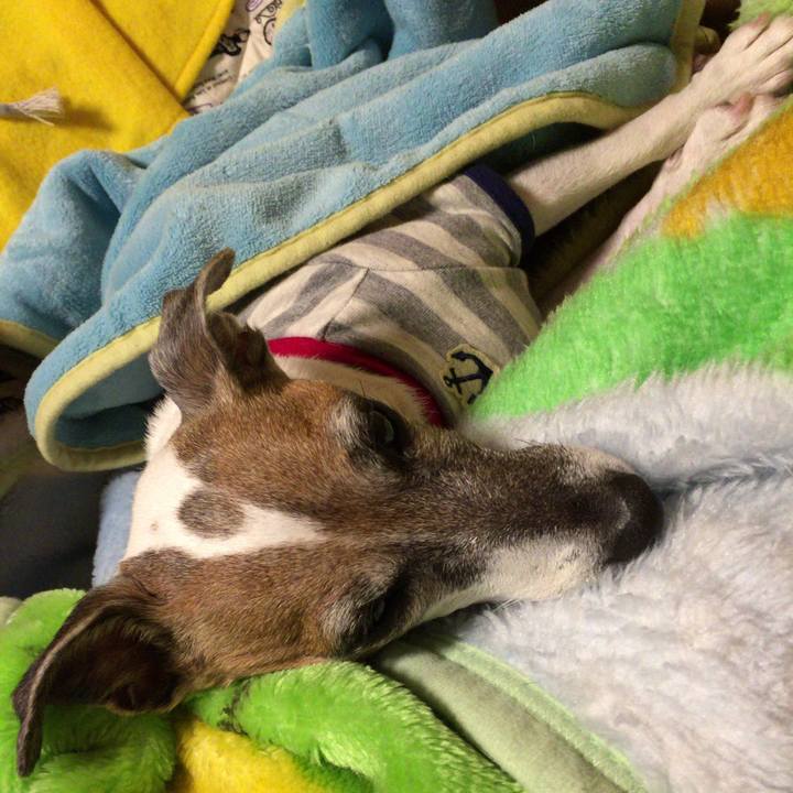 2d537cf4 f049 4bf2 886d 9dd25a00f012