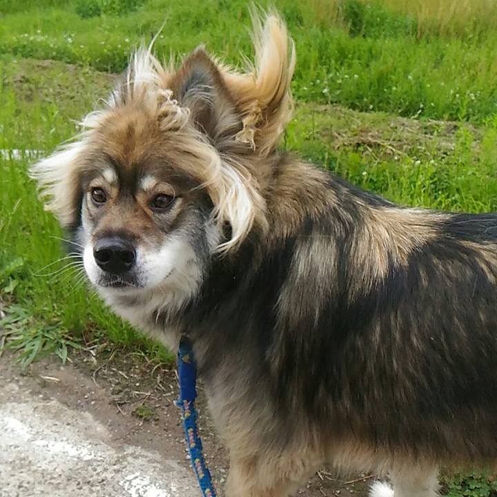 2d54c018 490f 4b4f b9f9 abca76ec2157