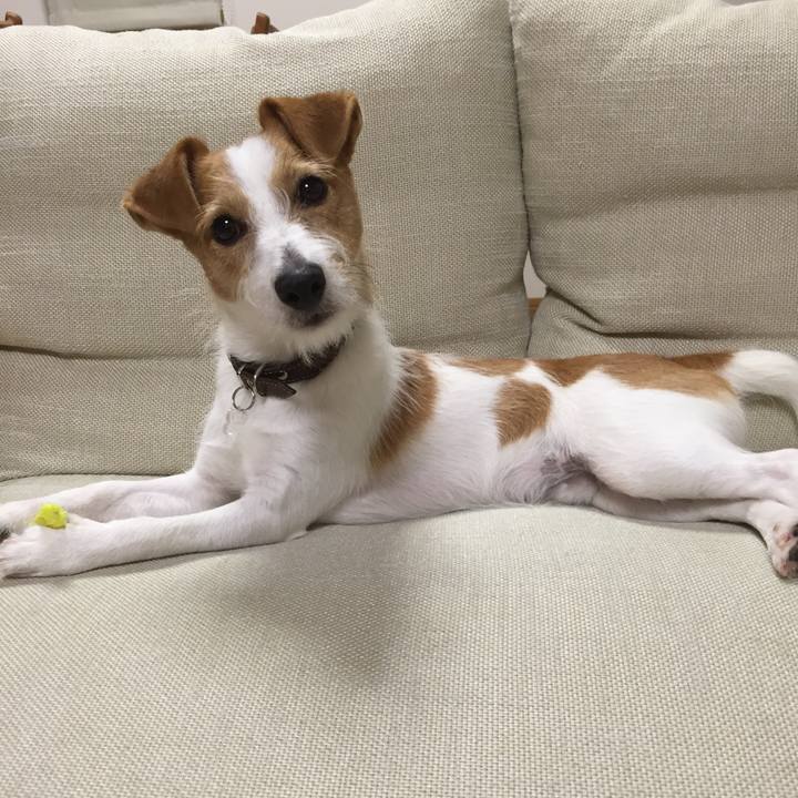 2d54c1cd 8603 4005 a587 6ffdc92aef13