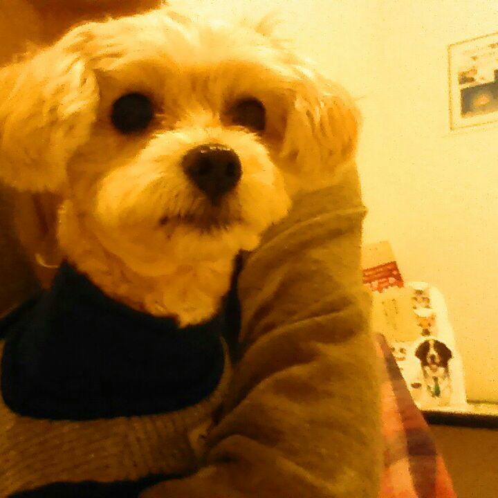 2d550077 95bb 44c3 a958 560835677f80