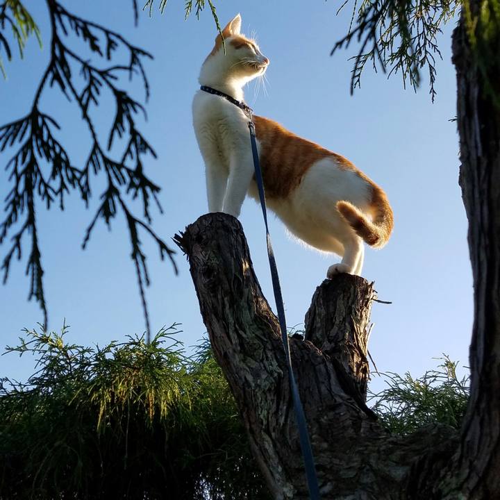 2d551ac0 3352 4646 9828 286c9ced8fc4