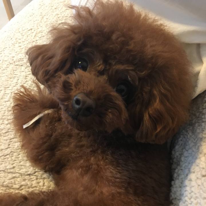 2d5568ae 4aed 443b 8048 112746df812f