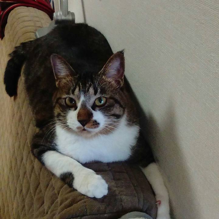 2d55aa1f ad93 4c43 a693 8b79e95c2a84