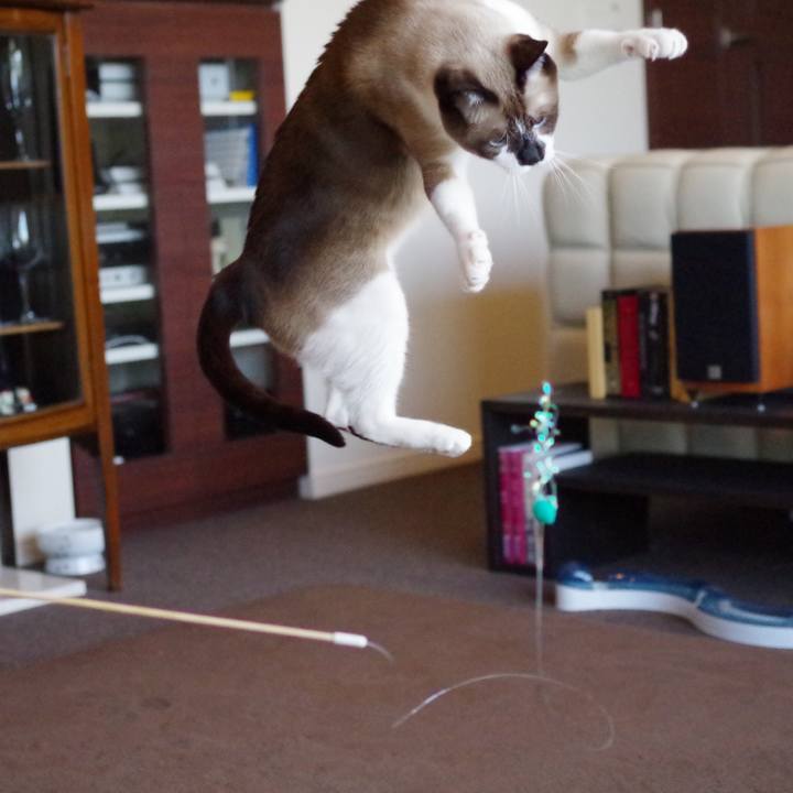 2d55e76e df16 4286 ab21 50d7f2948a6c