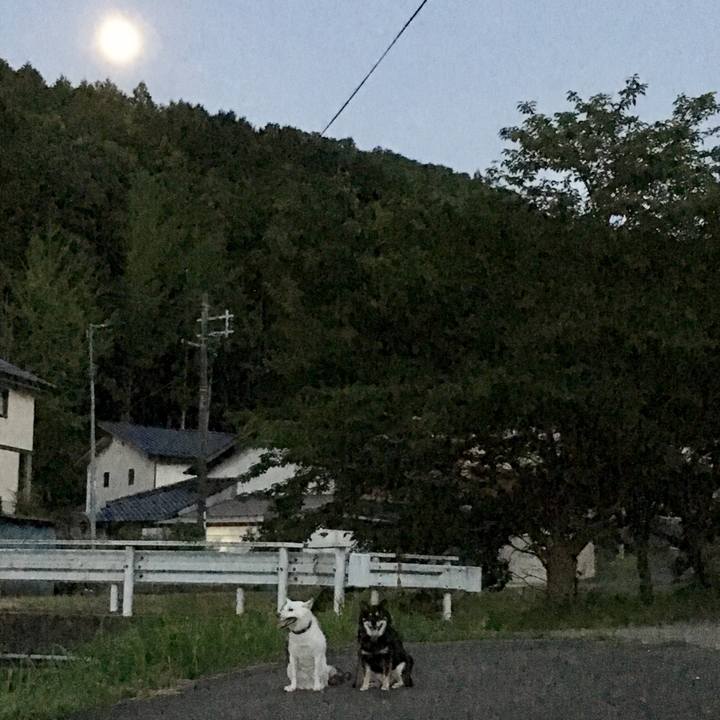 2d55e926 6e7a 47f2 9d2a 6c2a2bd66f2a