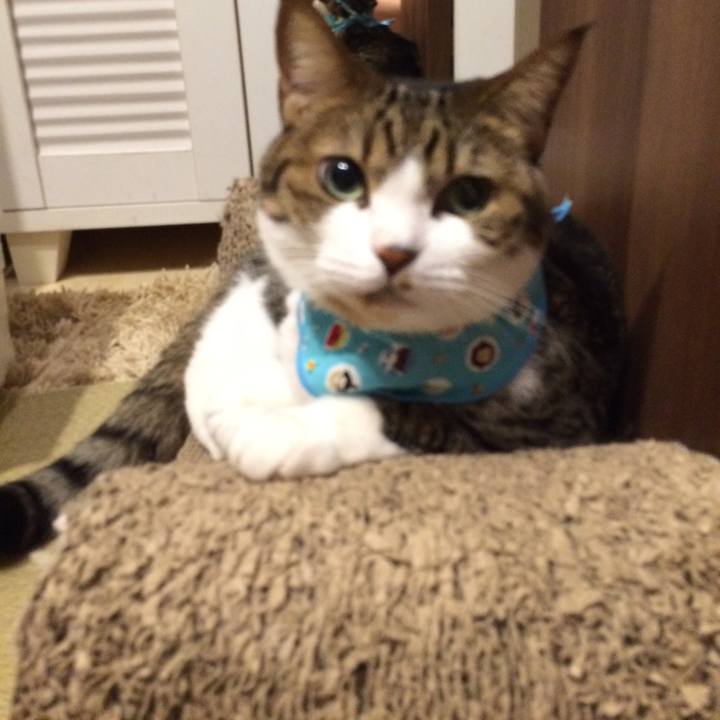 2d565822 8b63 45b2 ad6b d0b1c1e3c4e3