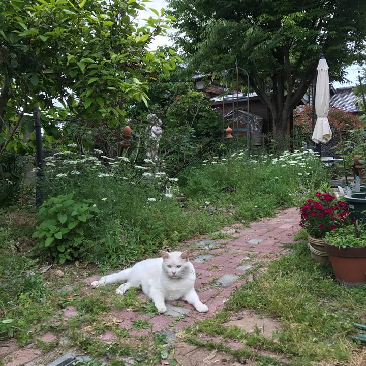 2d566065 4d10 448e aa78 45dadefb7901