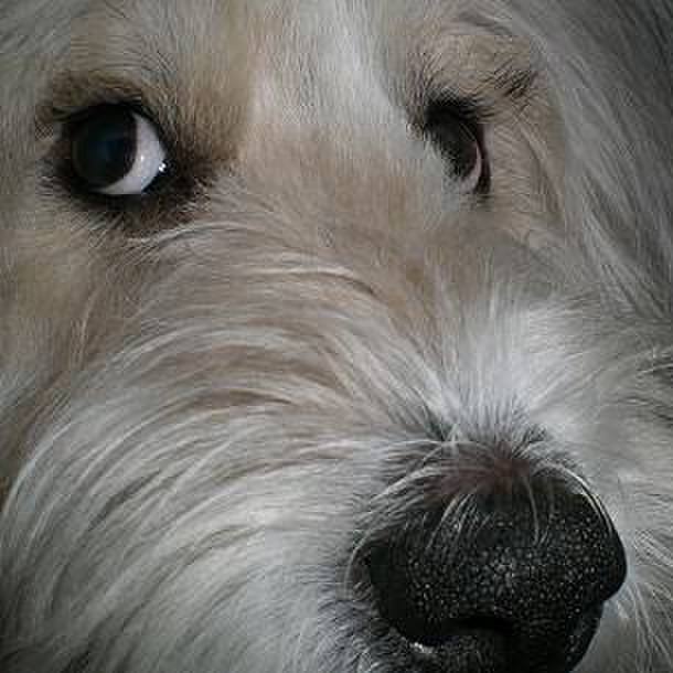 2d569ddc 3b28 474d bec2 21f864f1c91e