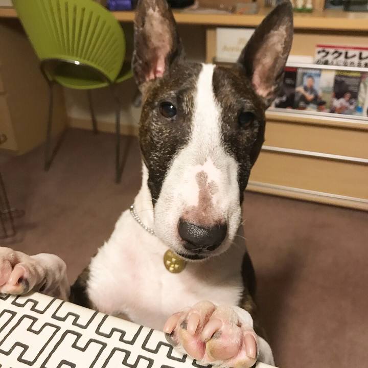 2d56eb90 6f75 4e4a bb6a d967be090d32