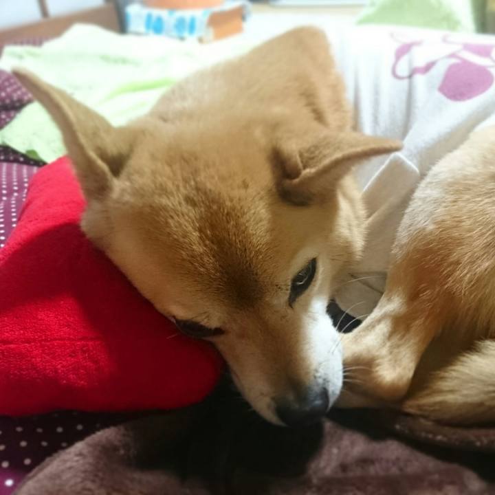 2d56fe13 4715 42c2 b16a a8f151b7e579