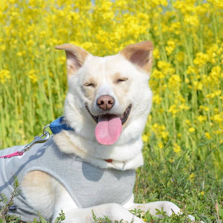 2d57588f 5034 44b8 88ab 3d9f583948b3