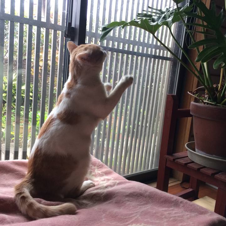 2d577608 b7c7 49a9 9094 39d8922f9c20