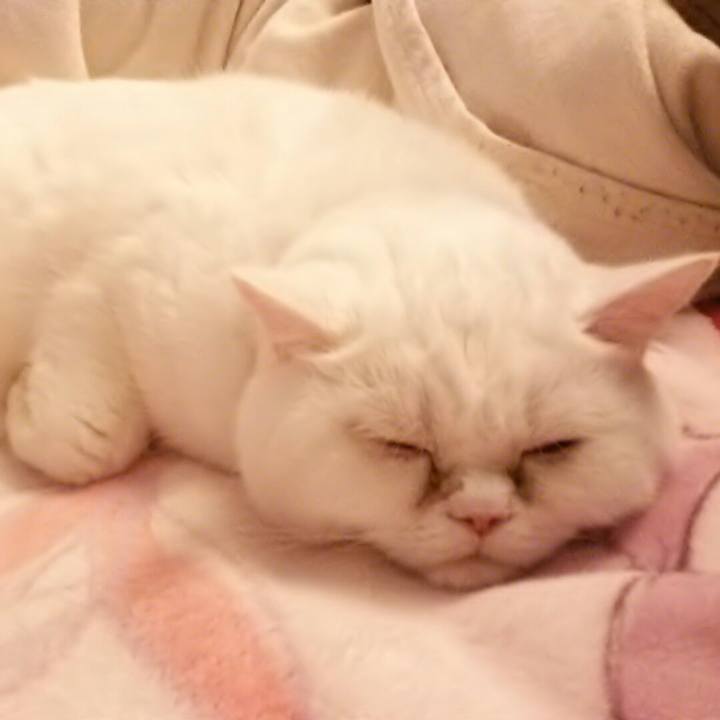 2d57ab01 0666 4338 8e49 a3e05e88f58e